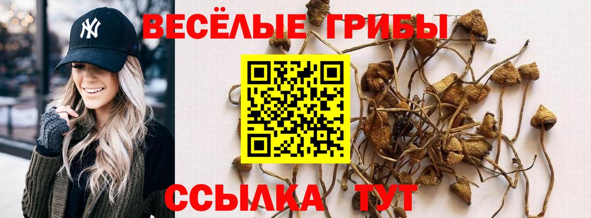 Псилоцибиновые грибы мицелий Орехово-Зуево