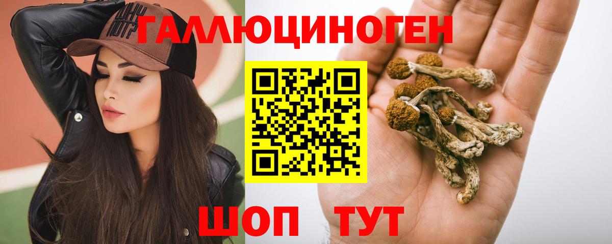 Галлюциногенные грибы прущие грибы  Вход с VPN  Псилоцибиновые грибы Psilocybine cubensis  Орехово-Зуево 